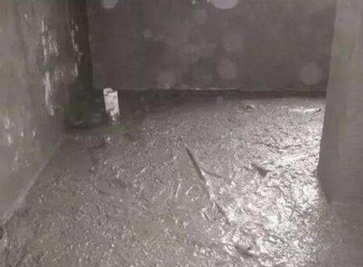 2020年十大知名防水涂料品牌,雨虹防水涂料、滴盾國標(biāo)防水產(chǎn)品優(yōu)異