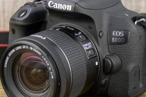 2020最值得入手的單反相機,佳能EOS 800D、尼康D7200拍攝順暢