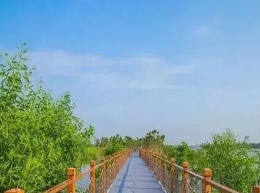 東莞十大人少好玩的景點,橫坑村、黎氏大宗祠讓你玩得盡興