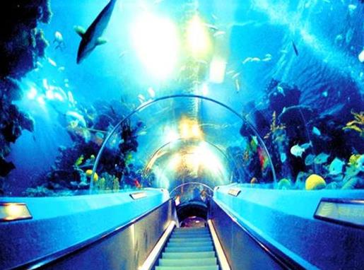 廣東十大適合親子旅游的地方,白云山風景區、廣州海洋館很好玩