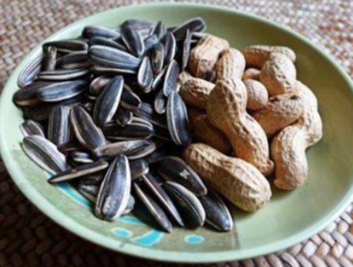 春節必吃的10種食物,餃子寓意吉祥如意、年糕寓意“年年高”