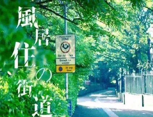 世界十大震撼人心的純音樂,風(fēng)居住過(guò)的街道、卡農(nóng)讓人陷入其中