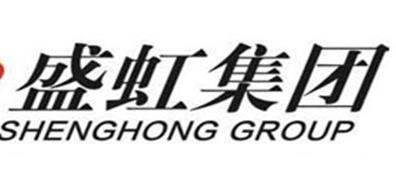 江蘇省制造業(yè)民營企業(yè),恒力集團有限公司、江蘇沙鋼集團有限公司是大企業(yè)