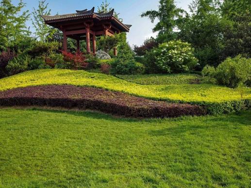 廈門十大景點排行榜,鼓浪嶼景色優美,園林植物園設計有特色