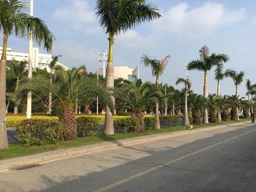 廈門十大景點排行榜,鼓浪嶼景色優美,園林植物園設計有特色