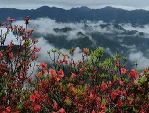 永州十大旅游景點排名,永州江永上甘棠古村、柳子廟吸引游客