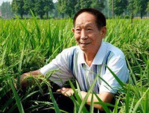 中國五位頂尖的科學(xué)家,錢學(xué)森是中國導(dǎo)彈之父、李四光貢獻極大