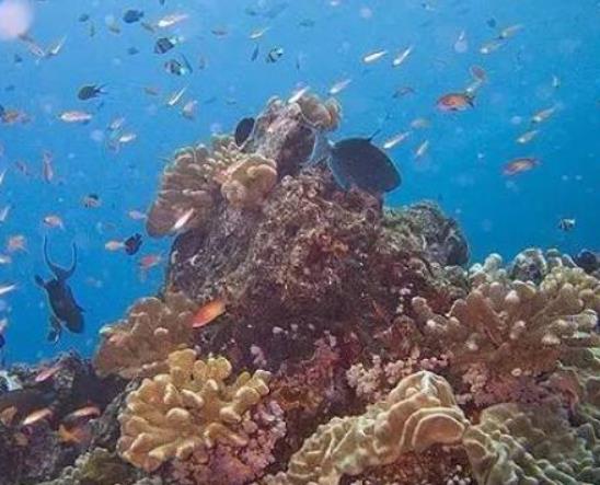 世界十大潛水圣地排名,大藍洞是世界第四深水下石灰石坑洞穴