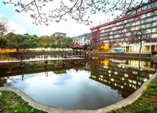 武漢十大最美大學排行榜,武漢大學校園享譽、華中農業(yè)大學環(huán)境幽雅