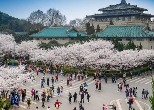 武漢十大最美大學排行榜,武漢大學校園享譽、華中農業(yè)大學環(huán)境幽雅