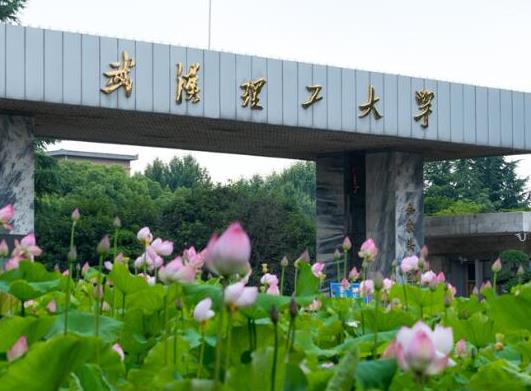 武漢十大最美大學排行榜,武漢大學校園享譽、華中農業(yè)大學環(huán)境幽雅