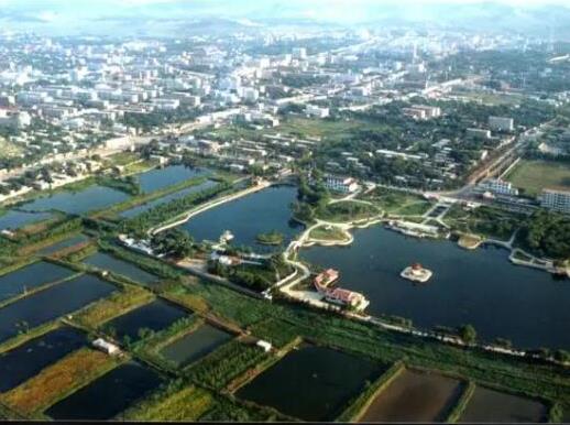 中國十大苗木之鄉排名,湖南省瀏陽市、北京市豐臺區非常有名