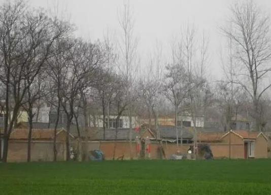 中國十大苗木之鄉排名,湖南省瀏陽市、北京市豐臺區非常有名