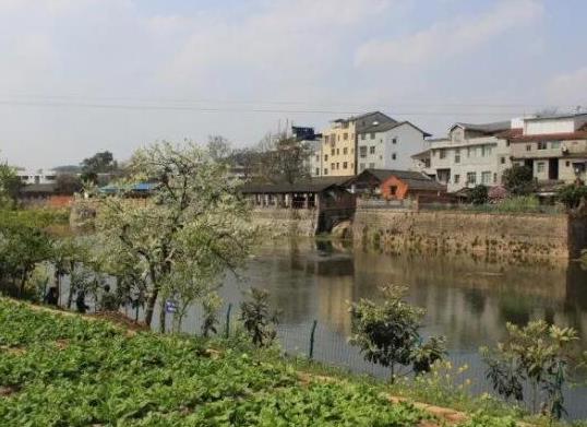 中國十大苗木之鄉排名,湖南省瀏陽市、北京市豐臺區非常有名