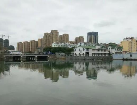 中國十大苗木之鄉排名,湖南省瀏陽市、北京市豐臺區非常有名