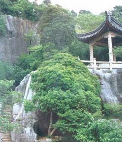 廣東十大旅游景點(diǎn)排行榜 廣東有什么好玩的地方去旅游