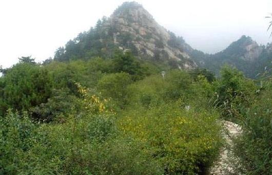 寧夏省石嘴山市十大旅游景點(diǎn)排行榜 石嘴山有什么好玩的地方