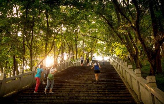 巴基斯坦伊斯蘭堡十大旅游景點排行榜 伊斯蘭堡有什么好玩的地方