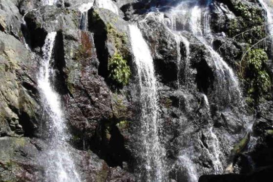 特立尼達(dá)和多巴哥五大旅游景點(diǎn)排行榜 特立尼達(dá)和多巴哥有什么好玩的地方