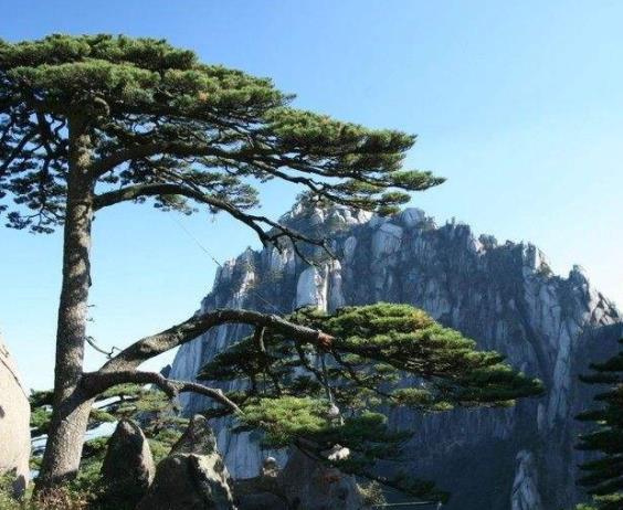 法國(guó)利穆贊大區(qū)五大旅游景點(diǎn)排行榜 好玩的地方推薦