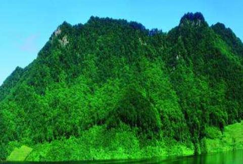 波蘭圣十字省三大旅游景點(diǎn)排行 鮑爾泰克橡樹(shù)是波蘭最著名的樹(shù)