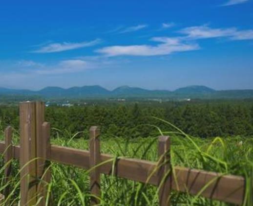 韓國(guó)濟(jì)州島十大旅游景點(diǎn)排行 牛島是可以選擇全天游覽