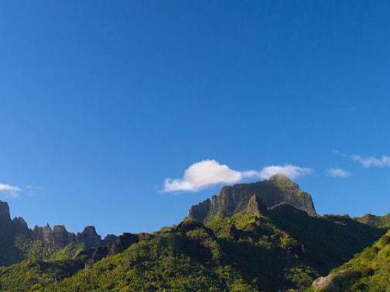 世界上最神秘的十大島嶼旅游景點(diǎn)排行 企鵝島被稱為企鵝的天堂