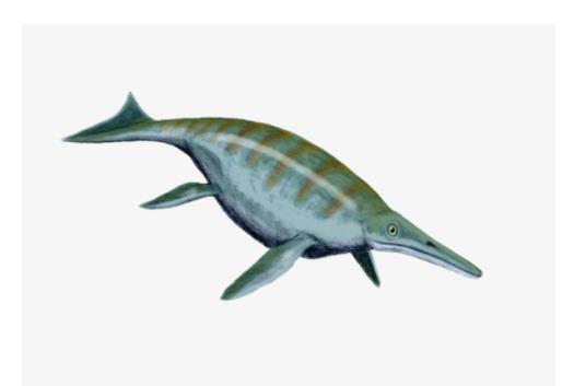 地球五大最可愛(ài)動(dòng)物 尖嘴魚(yú)與海馬和海龍是同一族生物