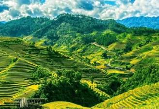 中國境內最邪門的地方排行榜 廣州一村莊有個奇怪的倒影塘