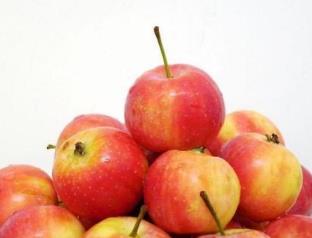 內(nèi)蒙古十大特產(chǎn) 烏珠穆沁羊肉在全國都是非常聞名的