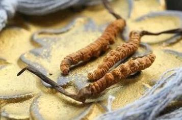 對(duì)于男性來說健康非常重要 推薦9種對(duì)男性健康有利的食物