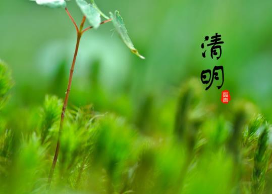 青島清明期間的天氣一般是多少度?清明節適不適合去青島玩