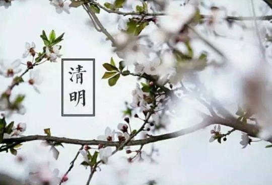 2022清明節適不適合去長沙玩?清明節去長沙要什么手續