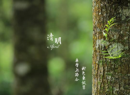 南京清明節上墳怎么預約?2022清明南京還有櫻花嗎