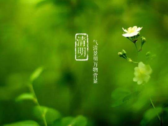 2022清明節適不適合去長沙玩?清明節去長沙要什么手續
