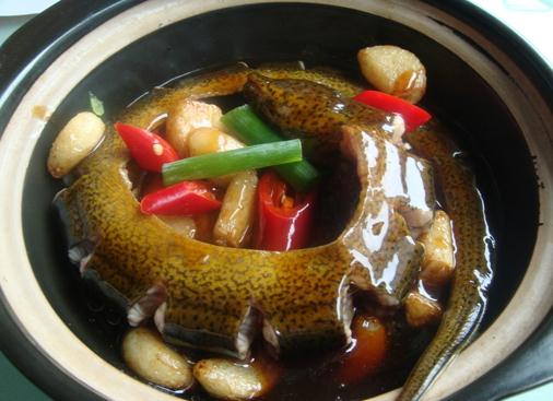 黃鱔的營(yíng)養(yǎng)價(jià)值-吃鱔魚(yú)的好處