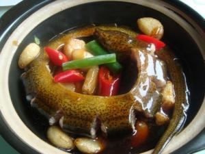 吃黃鱔魚有什么好處？黃鱔的營(yíng)養(yǎng)價(jià)值與功效