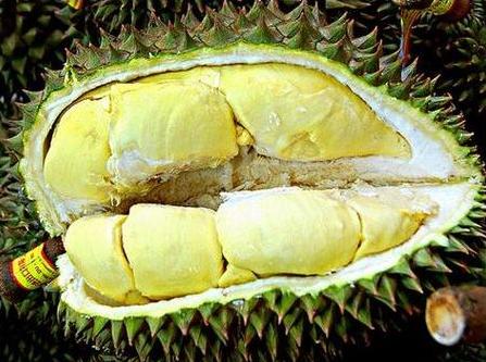吃榴蓮可以緩解痛經嗎?榴蓮的功效與作用