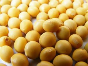 吃黃豆有什么好處？黃豆有什么營養(yǎng)價(jià)值