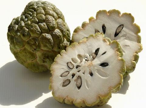 釋迦果的營養價值-釋迦果的功效與作用