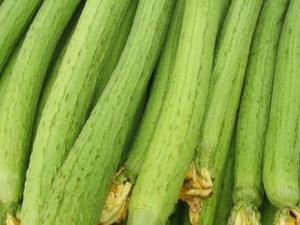 吃絲瓜好嗎？絲瓜的營養(yǎng)價值、功效與作用