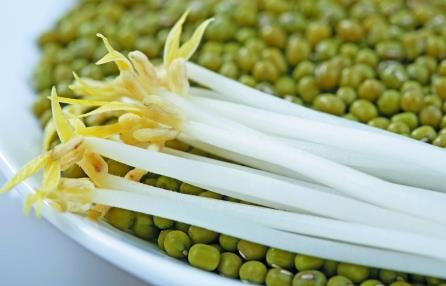 綠豆芽怎么做好吃?綠豆芽的營養(yǎng)價值、功效與作用
