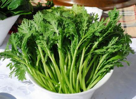 茼蒿怎么做好吃?茼蒿的營養(yǎng)價值、功效與作用