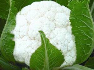 吃花菜有什么好處？花菜的營養價值及功效