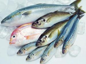 如何區(qū)別冰鮮魚與速凍魚？鑒別海鮮干品質(zhì)量好壞方法