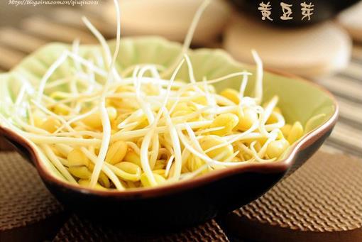 黃豆芽怎么做好吃?黃豆芽的烹飪技巧