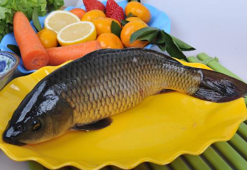如何烹飪鯉魚(yú)?鯉魚(yú)怎么做好吃