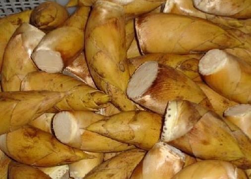 冬筍怎么做好吃?冬筍怎么吃最有營養