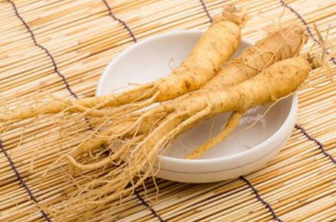 人參大的好還是小的好?鮮人參冷凍會影響藥效嗎?