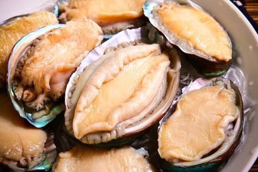 鮑魚要冷凍還是冷藏?鮑魚是頭多好還是頭少好?